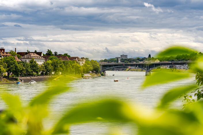 Blick auf den Rhein und auf die Basler Fähre.